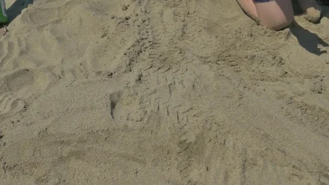 Playing on the beach Stock Footage 83629159