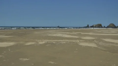 Playing on the beach 動画素材 83629266