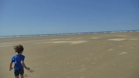 Playing on the beach Stock Footage 83629295