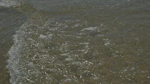 Playing on the beach 動画素材 83629369