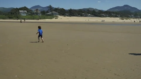 Playing on the beach 動画素材 83629463