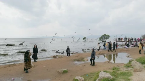 Playing on the beach Stock Footage 234068495