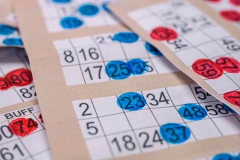 Playing bingo night Stock Photos