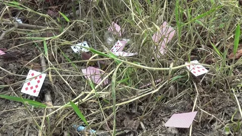 Playing cards scattered on the grass Stock Footage 199027266