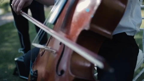 Playing the cello between fields Video stock 72570915