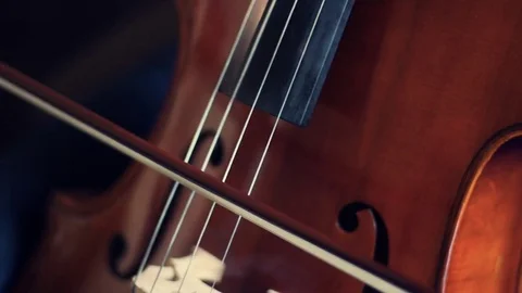 Playing Cello Close Up Stock Footage