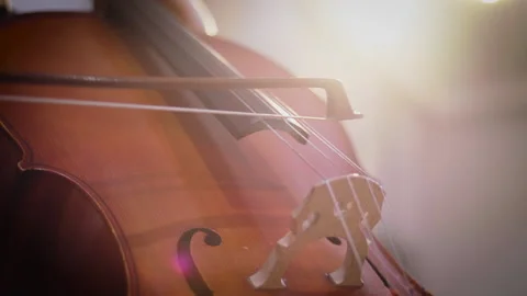 Playing Cello Close Up Stock Footage 151940004