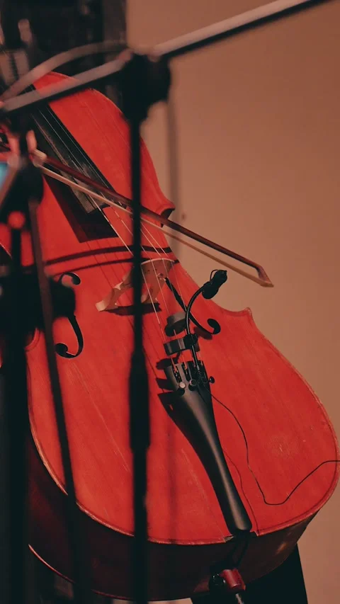 Playing the cello in close-up. The musician's hand moves bow over strings Stock Footage 315080620