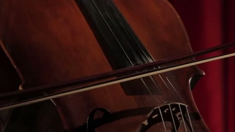 Playing cello, closeup Stock Footage 73220980