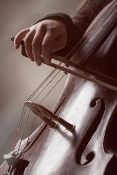 Playing the cello Stock Photos