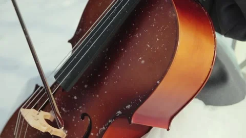 Playing the cello in the snow Stock Footage 132960831