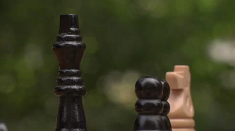 Playing chess Stock Footage 49861272