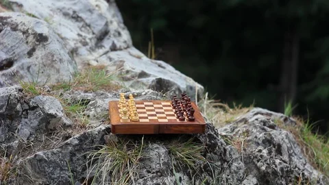 Playing chess outdoors Stock Footage 91062904