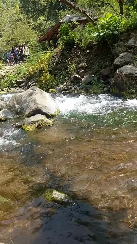 Playing in the clear river water 库存影片 288496291