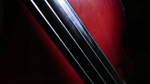Playing on contrabass Stock Footage 55672091