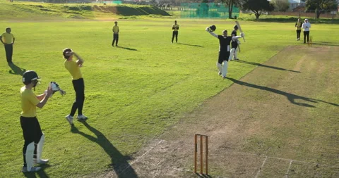 Playing cricket on field, diverse team celebrating successful match moment Stock-Footage 297440889