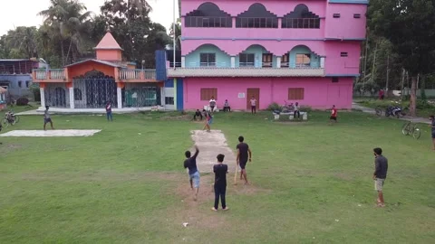 Playing cricket outside Stock-Footage 154506719