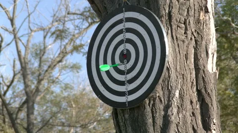 Playing darts in a park Stock Footage 50613276