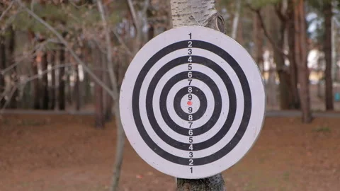Playing darts in a park 스톡 동영상 86177771
