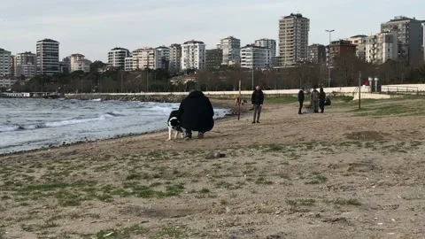 Playing with the dog on the beach Video stock 146992770