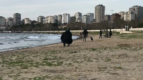 Playing with the dog on the beach Video stock 146992802