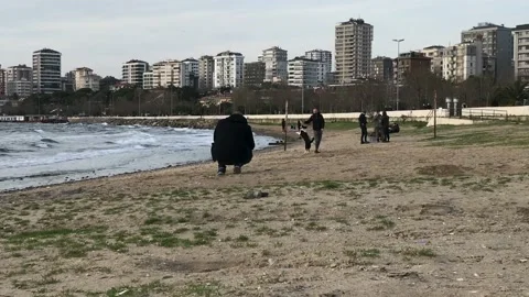 Playing with the dog on the beach Stock Footage 146992962