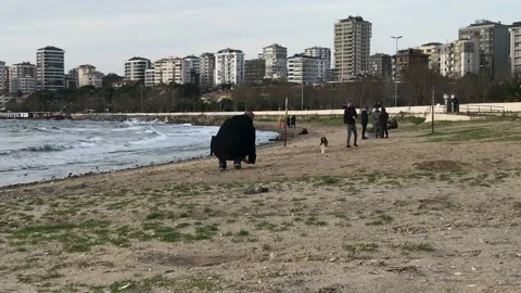 Playing with the dog on the beach Video stock 146993810