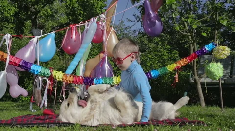 Playing with dog Stock Footage 49431322