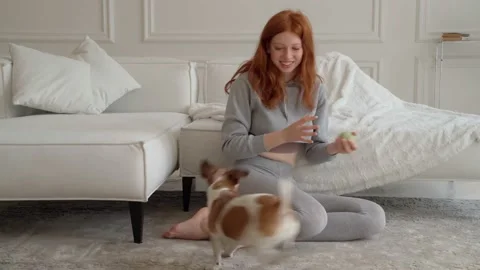Playing with dog at home Vídeo Stock 154488760