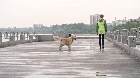 Playing with Dog at Pier Stock Footage