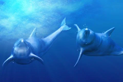 Playing dolphins イラスト素材