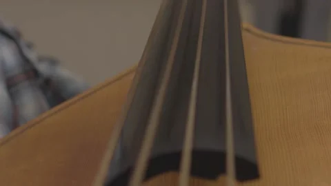 Playing Double Bass Close Up Slow Motion Video stock 205580468