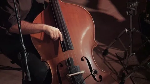 Playing the Double Bass Stock Footage 79541233