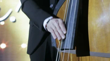 Playing on the double bass Vídeos de archivo 86069493