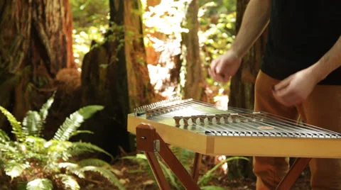Playing dulcimer Stock Footage 37983401