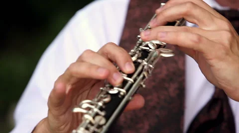 Playing The Flute Stock Footage 46838498