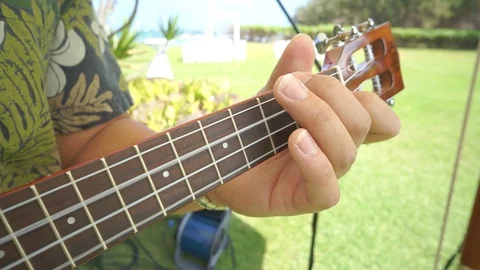 Playing On The Fret Board Stock Footage 104818872