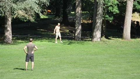 Playing with frisby Vídeos de archivo 132028187