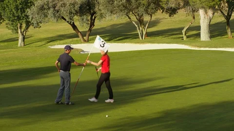 Playing, Golf, Golf Course, Swinging, Golf Club, Putting, Putting Green, Sport, Stock Footage 94392343