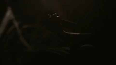 Playing guitar at night Stock Footage 71135398