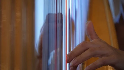 Playing on a harp Stock Footage 89889944