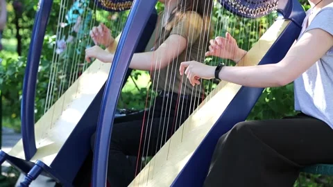 Playing the harp for pedestrians Stock Footage 89650772