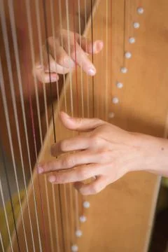 Playing the harp 库存照片