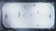 Playing Ice Hockey On Ice Rink. Aerial Vertical Top-Down View Stock Footage
