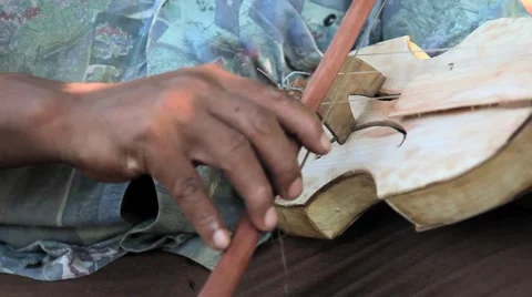 Playing Jungle Violin 库存影片 2420497
