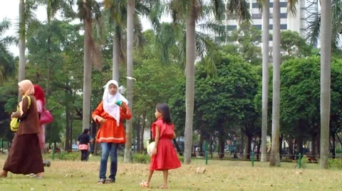 Playing Kite Stock Footage 7954192