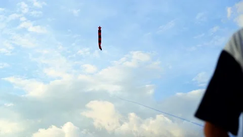 Playing kites with clear blue sky having fun Video stock 142790589