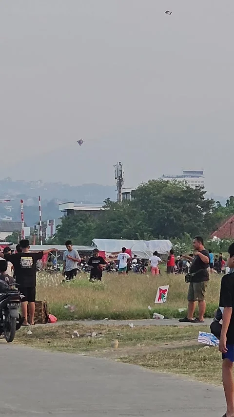 Playing kites Stock Footage 247134116