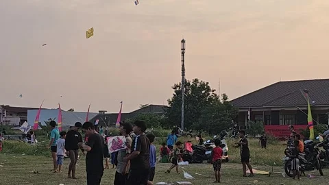 Playing kites Stock Footage 247134416