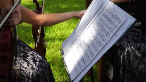 Playing musical instruments Stock Footage 163567970